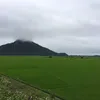 tinphyn1