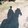 kapelka_adekvatnocti