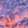 user166_04