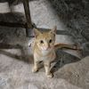 hendra.setiawan747