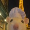 katsandmilkshakes