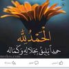 user77515908077531