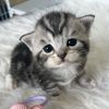 keya