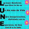 nombre_295