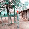 tamirushifara1