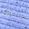 nzdne.elmoustaph