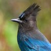 dan930312jay