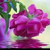 user37808515171812