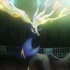xerneas5