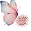 user2242815161281