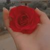 hanan._.ahmad0