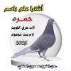 user4505132976778