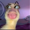 anna.lena329