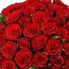 louna_29
