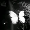 itssmycandyss_ss
