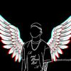 sadx743