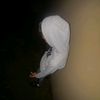 yeiden.rodriguez