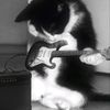 nrkxwash._