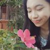 liapsari__