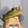 naozmiz