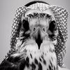 badr.279