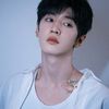 dell_adell282