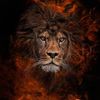 samuel.gamboa.san
