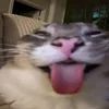 hgdayneee