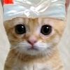 my_name_haxel