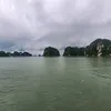 mualegiasi.vn