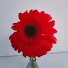 user4761320441915