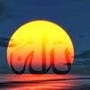 albasheer.algammodi