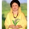 babul7792