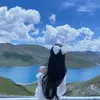 .mairm