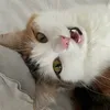 mi_vi10