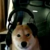 turbo_horse