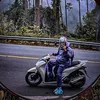 phc.quang47