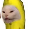 rr_rro77