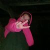isla.dunlop