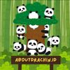 About Drachin || Jastip