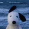 theixxyffun
