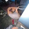 nichada_66