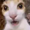 otro_gil_mas