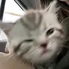 ibwkbd