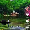 ngoc.truong772
