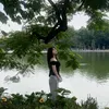 ttd_11207