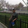 mastroy33
