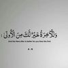 nawafalharbi797