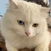 𝐦.𝐧𝐠𝐨𝐜