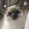 william_213